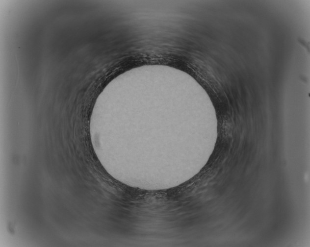 X0000091010865200708301355