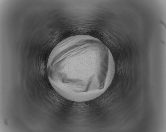 X0000091010866200708301355