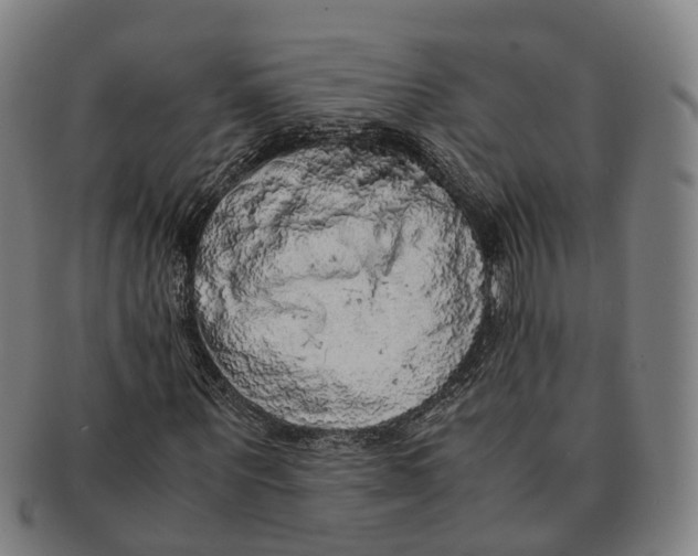 X0000091010867200708301355