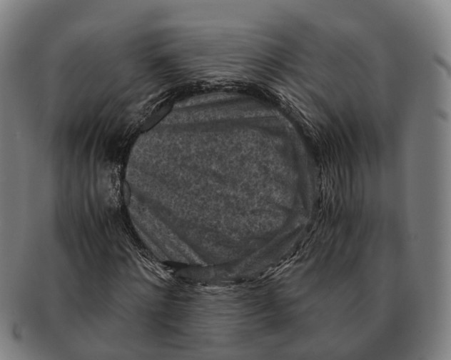 X0000091010868200708301355