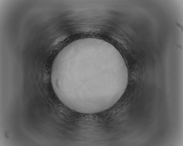 X0000091010869200708301355