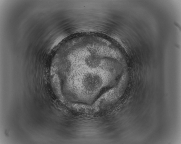 X0000091010871200708301355