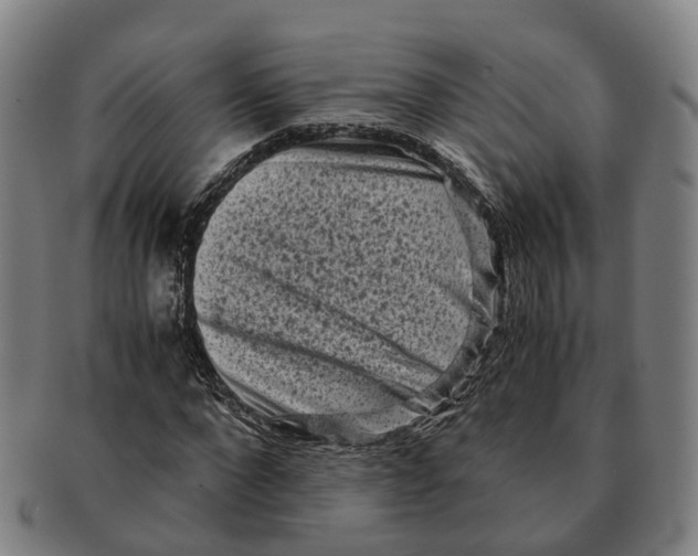 X0000091010872200708301355