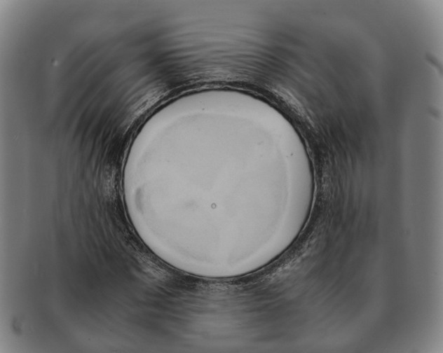 X0000091010873200708301355