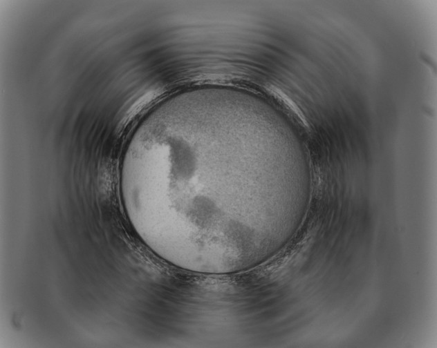 X0000091010874200708301355