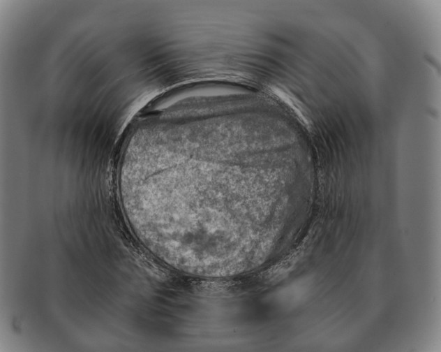 X0000091010875200708301355