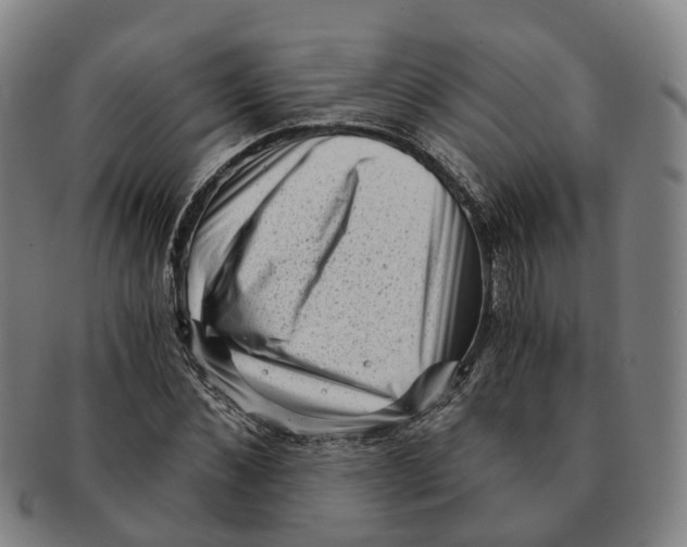 X0000091010876200708301355