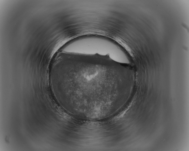 X0000091010877200708301355