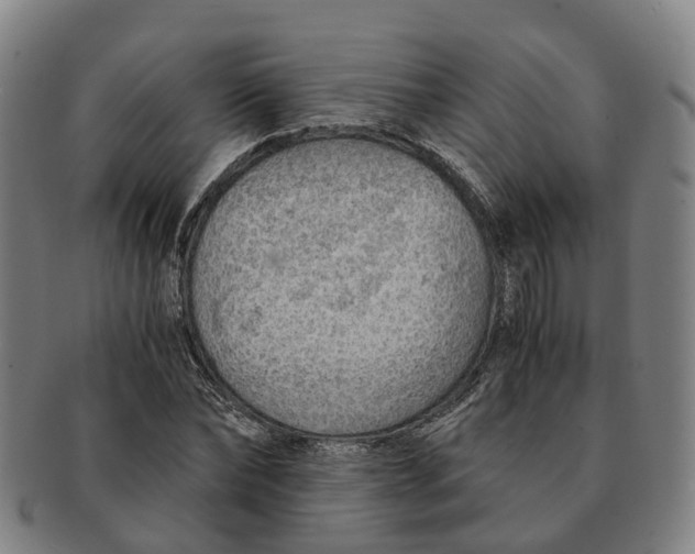 X0000091010878200708301355