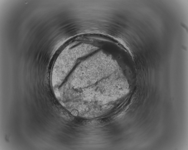 X0000091010879200708301355