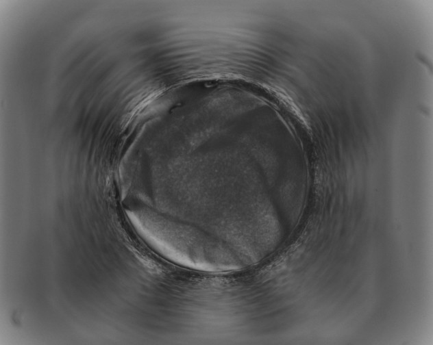 X0000091010881200708301355