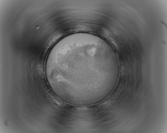 X0000091010882200708301355