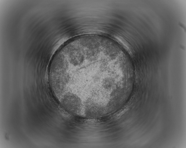 X0000091010883200708301355