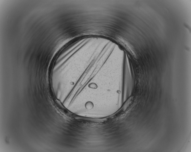 X0000091010884200708301355