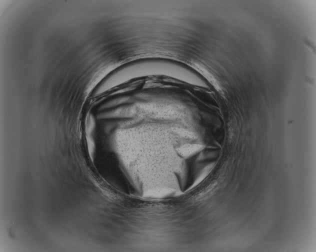 X0000091010885200708301355