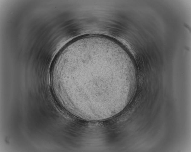 X0000091010887200708301355