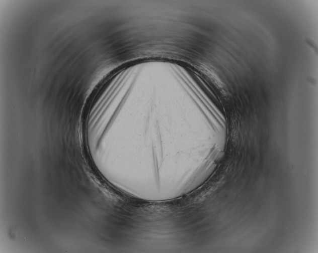 X0000091010888200708301355