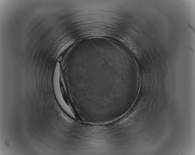 X0000091010889200708301355