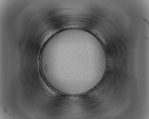 X0000091010890200708301355