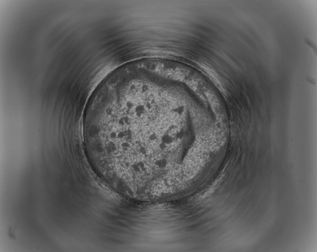 X0000091010891200708301355