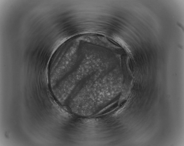 X0000091010892200708301355