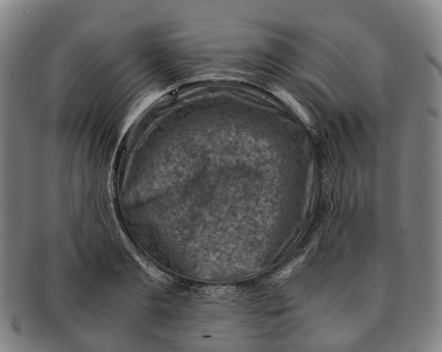 X0000091010893200708301355