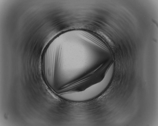 X0000091010894200708301355