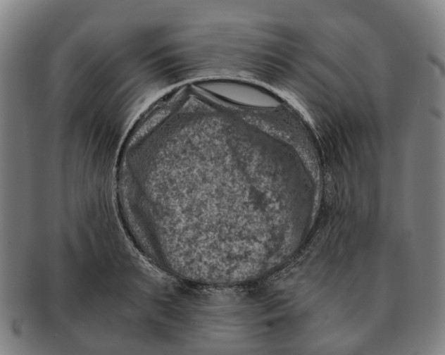 X0000091010895200708301355