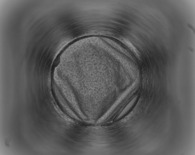 X0000091010896200708301355