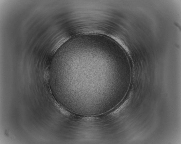 X0000091010897200708301355