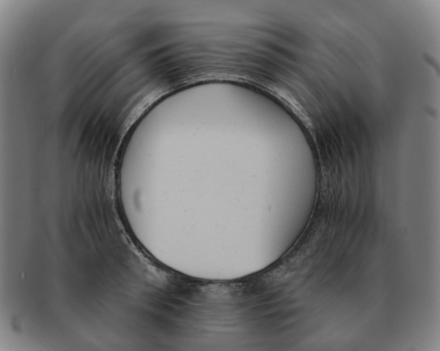 X0000091010898200708301355