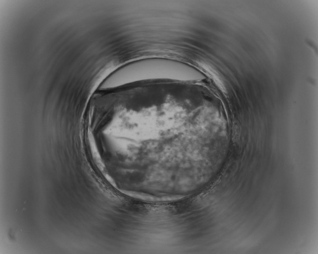 X0000091010899200708301355