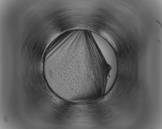 X0000091010900200708301355