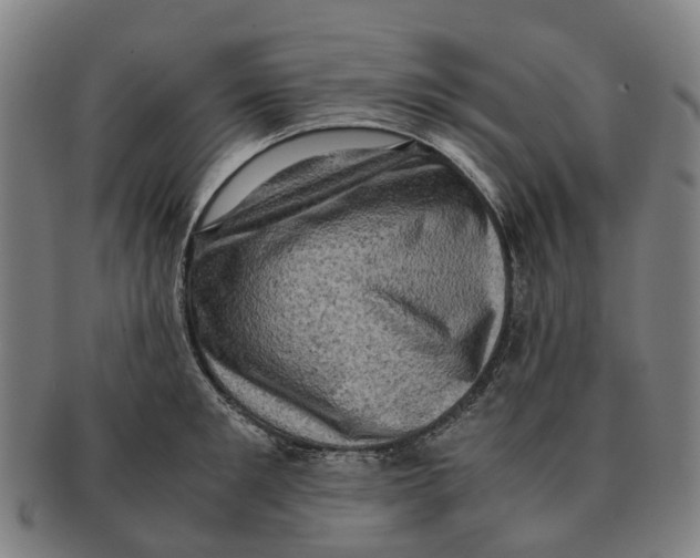 X0000091010901200708301355