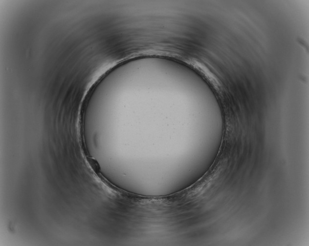 X0000091010902200708301355