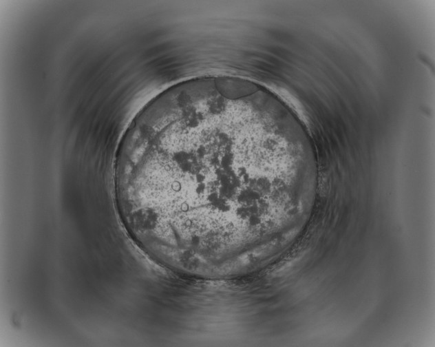 X0000091010903200708301355