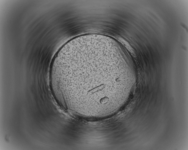 X0000091010904200708301355