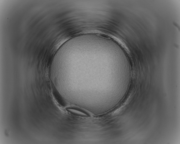 X0000091010905200708301355