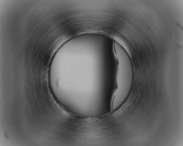 X0000091010906200708301355