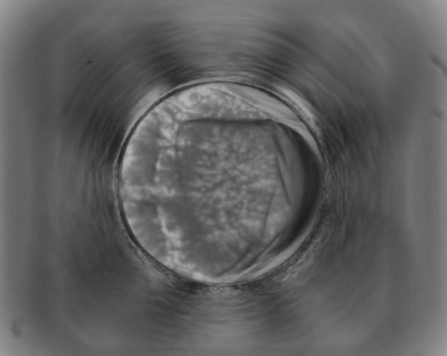 X0000091010907200708301355