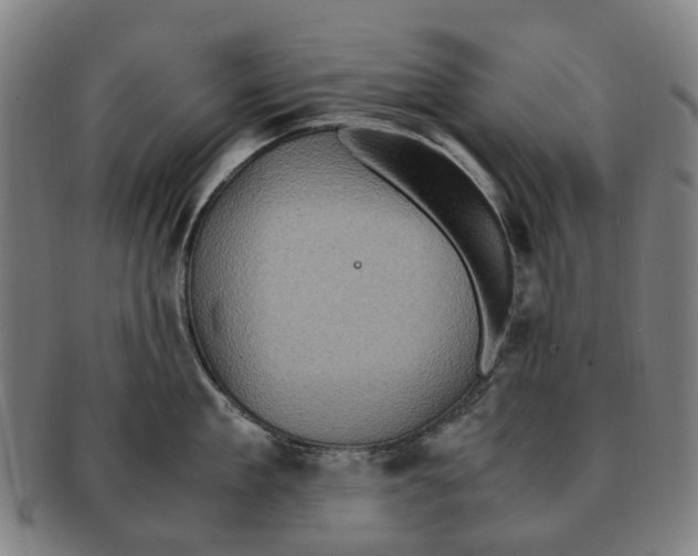 X0000091010909200708301355