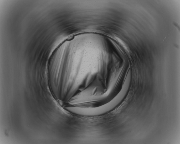 X0000091010910200708301355