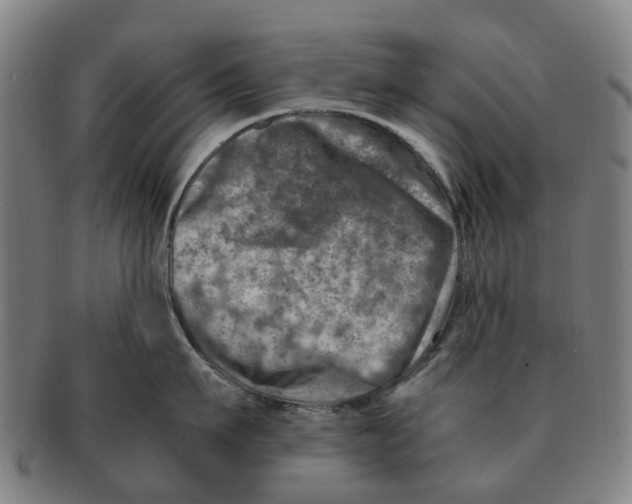 X0000091010911200708301355