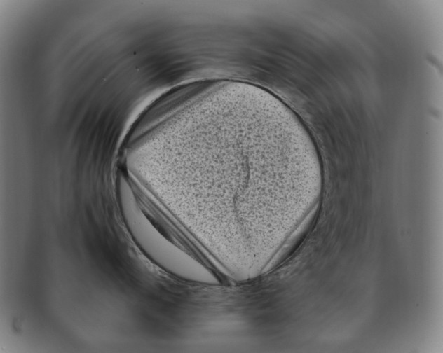 X0000091010912200708301355