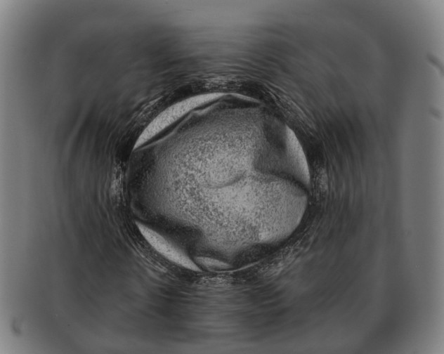 X0000091010914200708301354