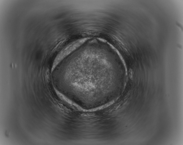 X0000091010915200708301354