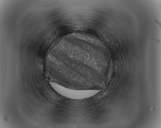 X0000091010916200708301354