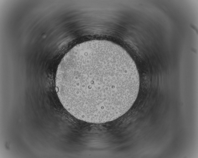 X0000091010918200708301354