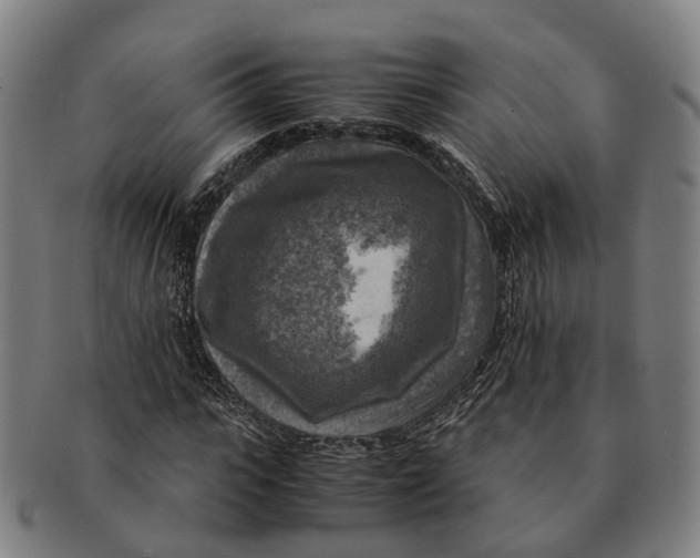 X0000091010919200708301354