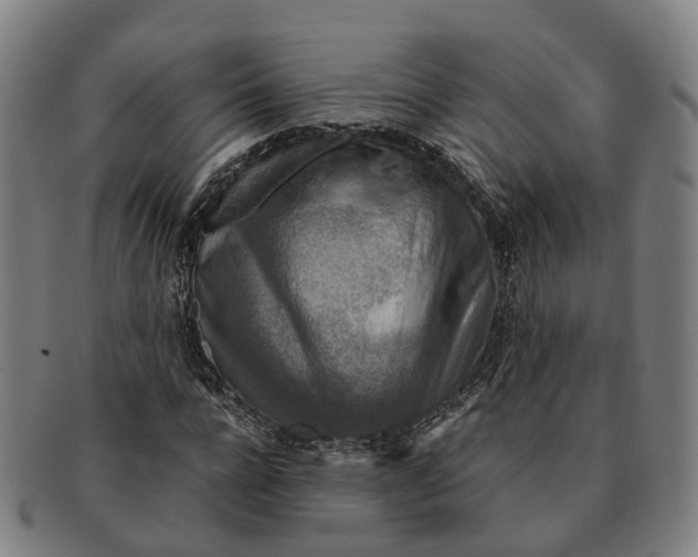 X0000091010920200708301354